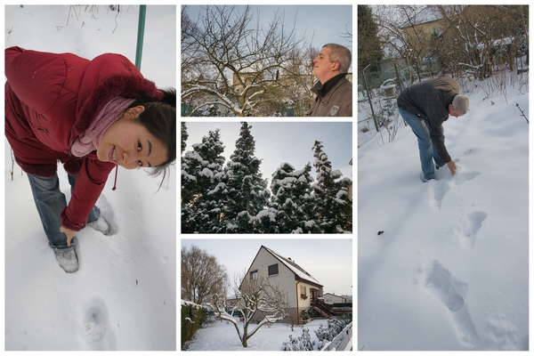 Neige Metz 2.jpg Neige Metz 2.jpg