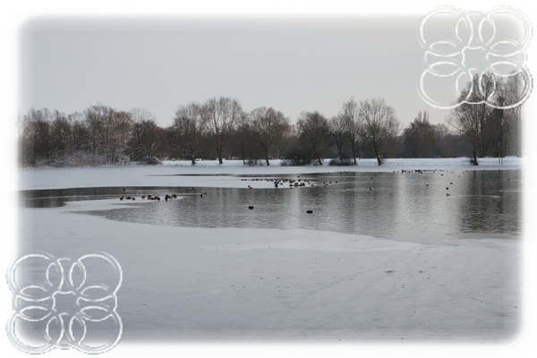 Neige Metz 4.jpg Neige Metz 4.jpg